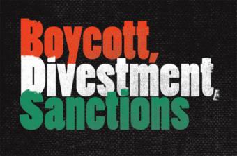 BDS and anti-BDS Primer