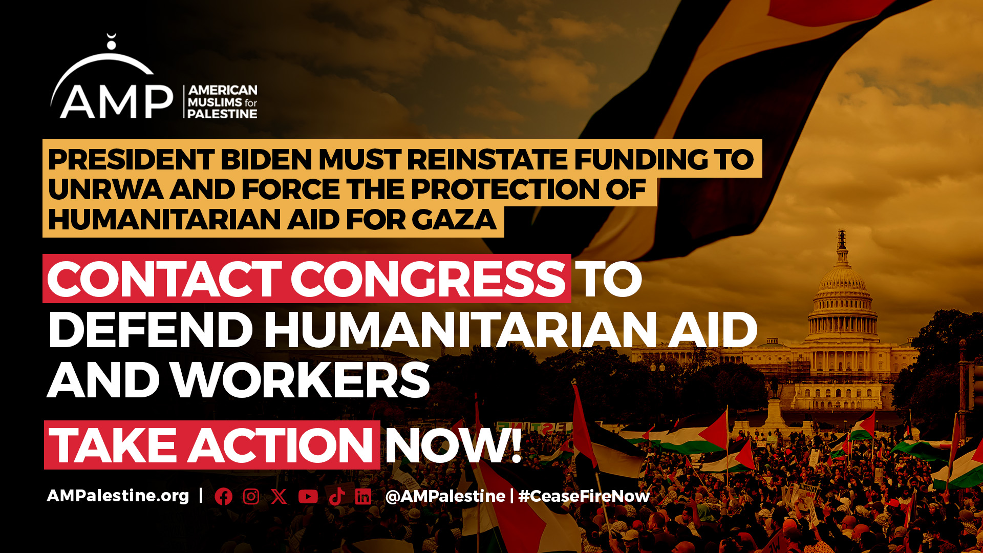 AMP | American Muslims for Palestine