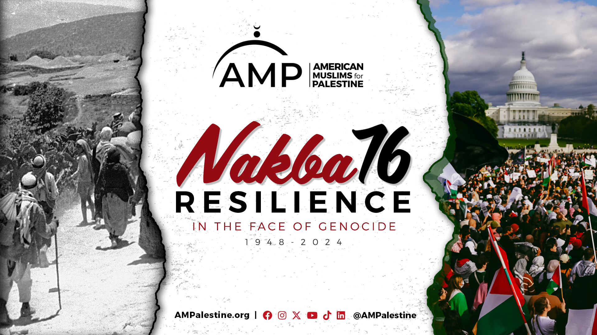 AMP | American Muslims for Palestine