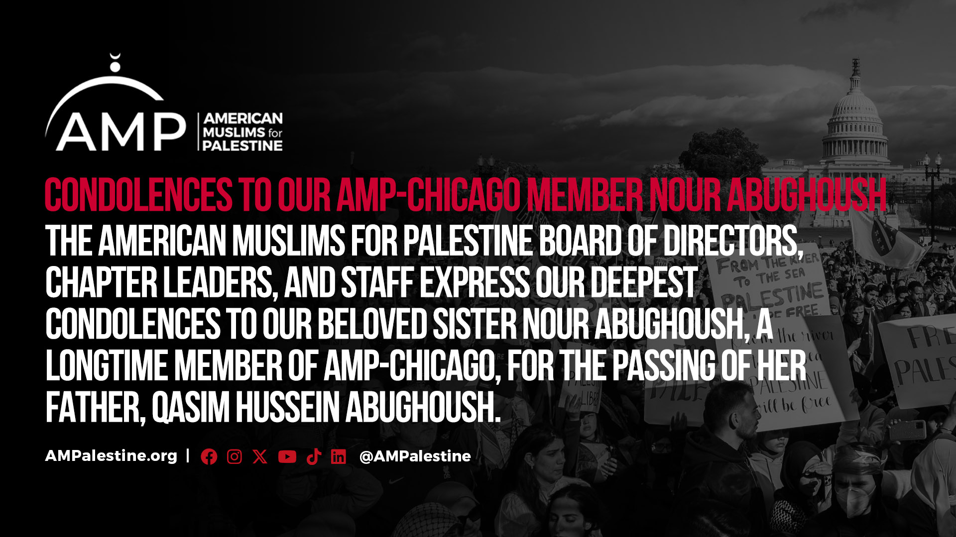AMP | American Muslims for Palestine