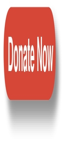 donate button