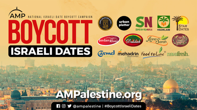 AMP | American Muslims for Palestine