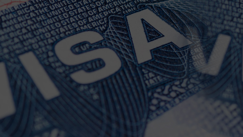 AMP | American Muslims for Palestine