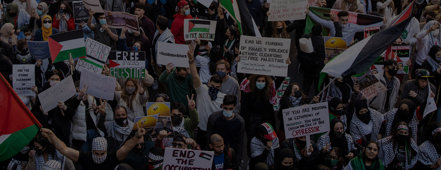 AMP | American Muslims for Palestine