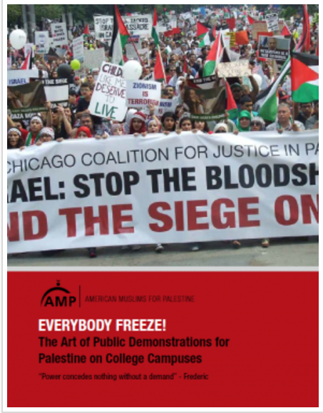 activist handbook.png