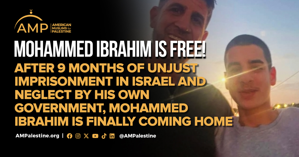 MOHAMMED IBRAHIM IS FREE! | AMP